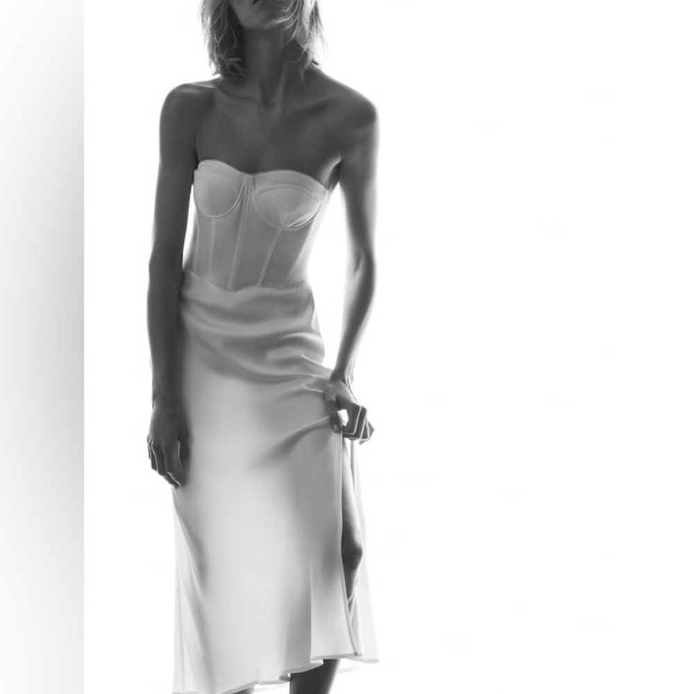 Zara dress